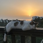 Photo by 🇮🇱 Meir Preis 🇮🇱 (@PreisMeir)