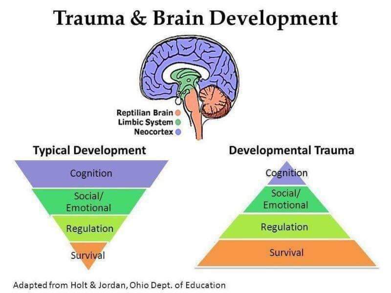 Trauma informed responsive interventions must come with developmentally reasonable expectations. What is their current functioning.Scaffolding experiences with reachable goals and strategies through repitition to help them regulate,instead of unrealistic expectations.🧠🌱