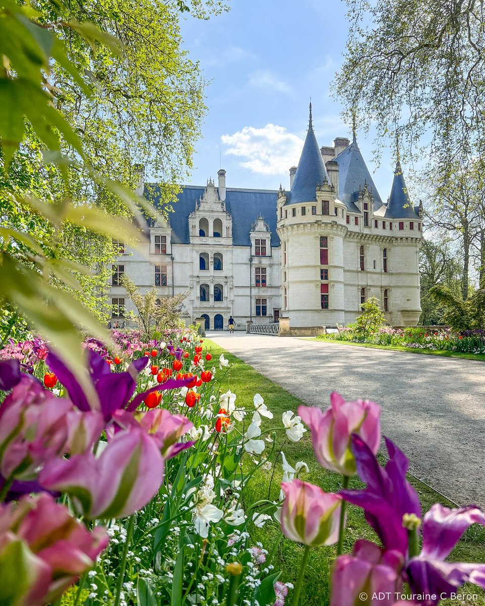 De sublimes couleurs printanières au château d'Azay-le-Rideau 🌷. Un charme irrésistible n'est-ce pas ? 🤗 Crédits 📸 : ©tourainevaldeloire