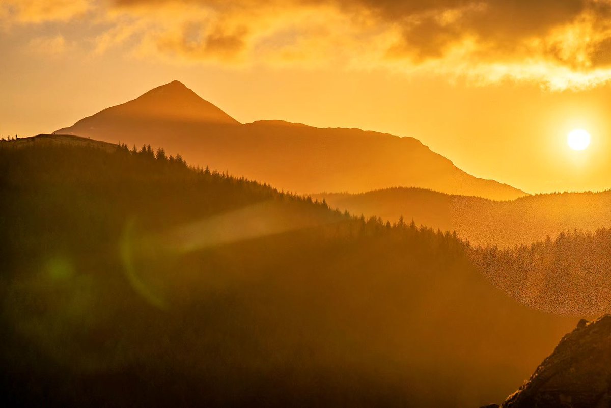 Now that's golden hour! ☀️ 

The majestic Ben Lomond melting into the background.

📸 paulwilsonsphotography
