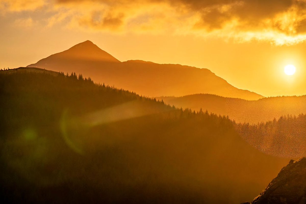 Now that's golden hour! ☀️ The majestic Ben Lomond melting into the background. 📸 paulwilsonsphotography