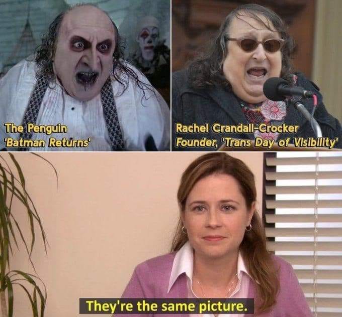 MolonLabeIII's tweet image. #SamePic , 🤣🤣🤣🇺🇸