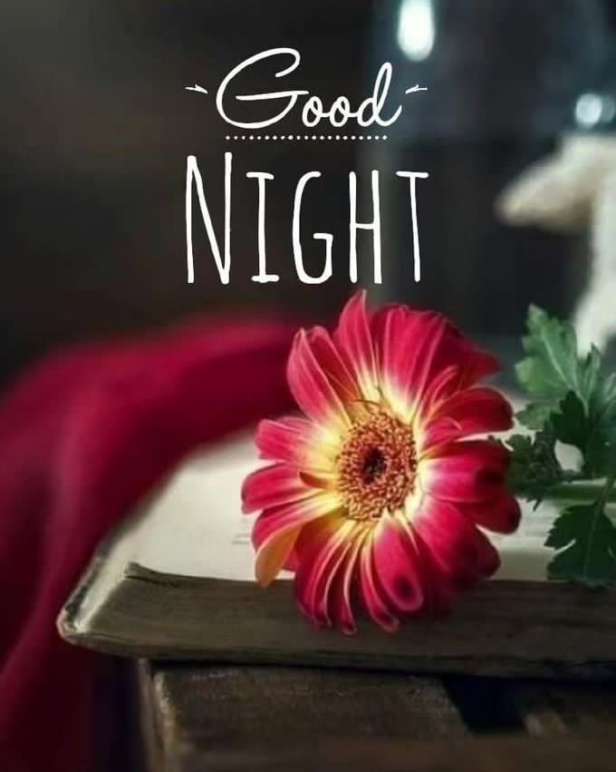 Good night 🌃🌃

#GoodNightX 
#PSGSRFC #HardikPandya