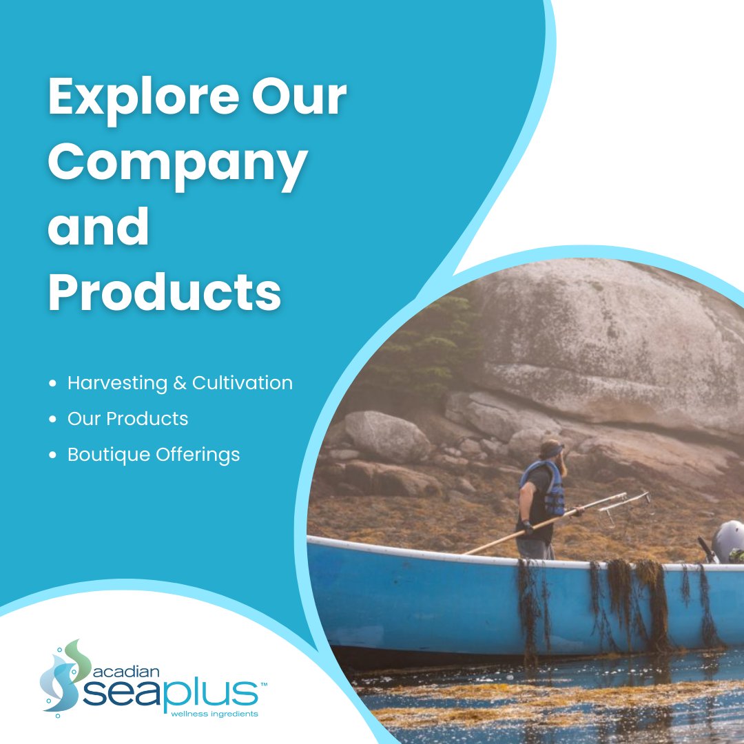 Keen to learn more about our company and the products we offer? From our sustainable harvesting methods to the wide array of seaweed varieties we utilize, find all the answers you seek here: acadianseaplus.com/wp-content/upl… #AcadianSeaPlus #AcadianSeaplantsLimited #Seaweed