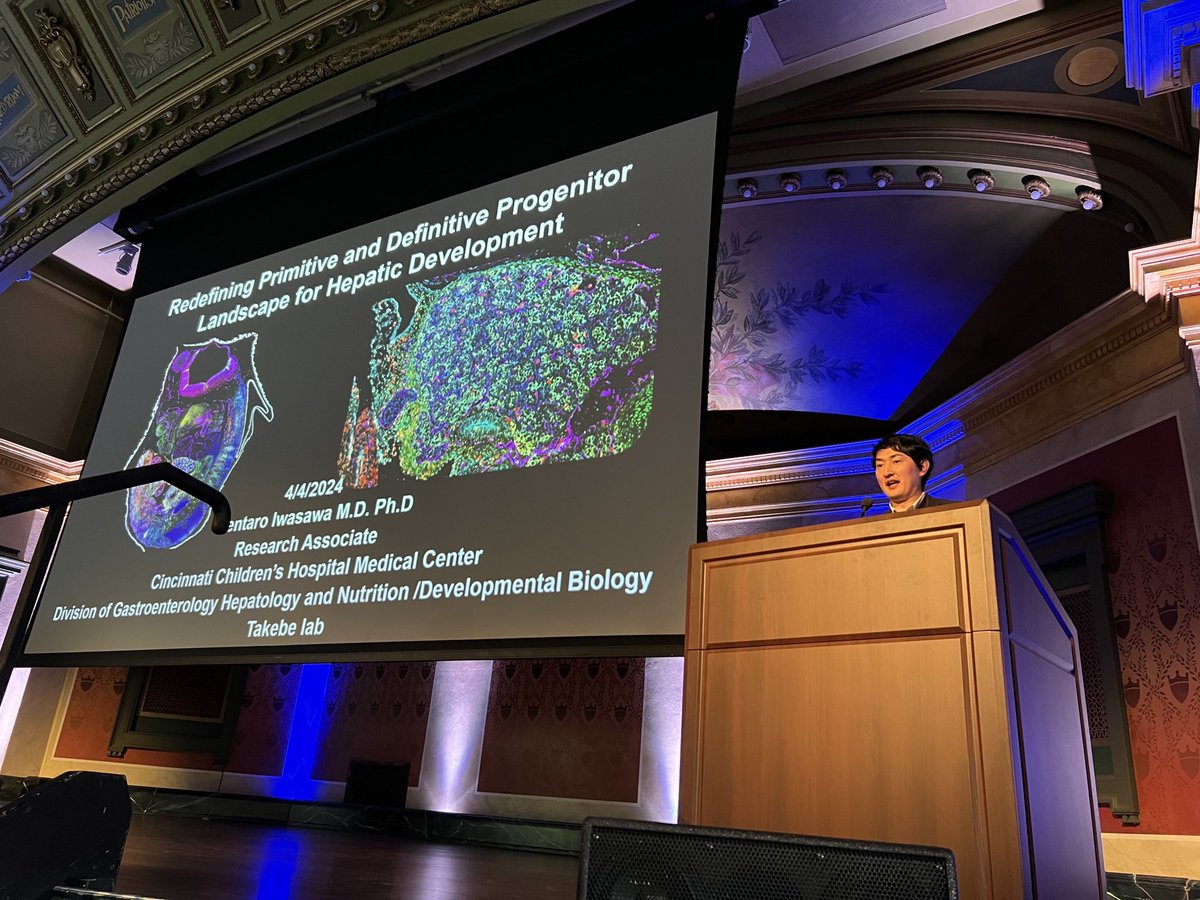 Fantastic to see NYSCF—Druckenmiller Fellow Kentaro Iwasawa (@CincyChildrens) speaking this morning at the @ISSCR Cincinnati Symposium about his work using human organoid models and mouse embryos to study early liver specification