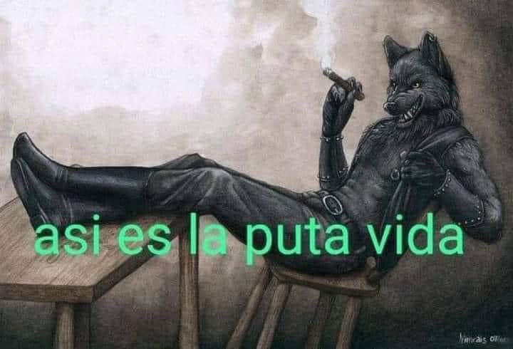 343 después de que me prohibieran: