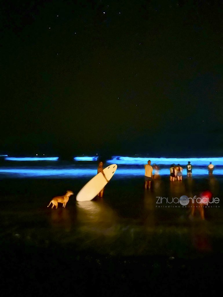 ZihuaEnfoque's tweet photo. Un espectáculo se ha convertido en esta temporada en el litoral de la costa de Guerrero, el fenómeno de La Bioluminiscencia, se crea una reacción química entre millones de organismo vivos y la fricción con el agua que produce una luz en color azul. https://t.co/h70YdqSwZL