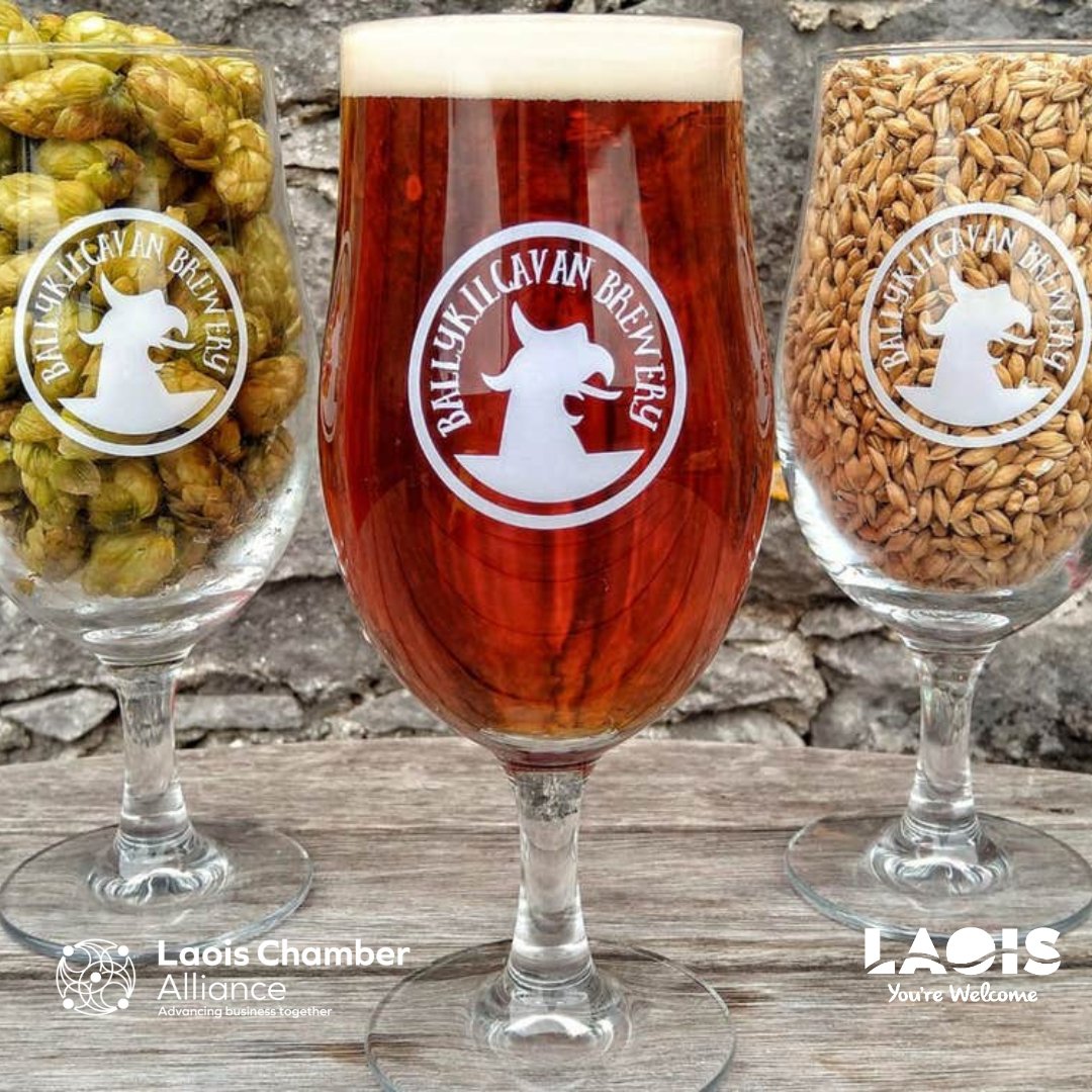 Are you a fan of beer? Join @Ballykilcavan for a fully guided tour. You'll get to smell the hops, taste the different malts made from their barley and then sample their delicious range of multi-award-winning beers. Visit: shorturl.at/moKXY