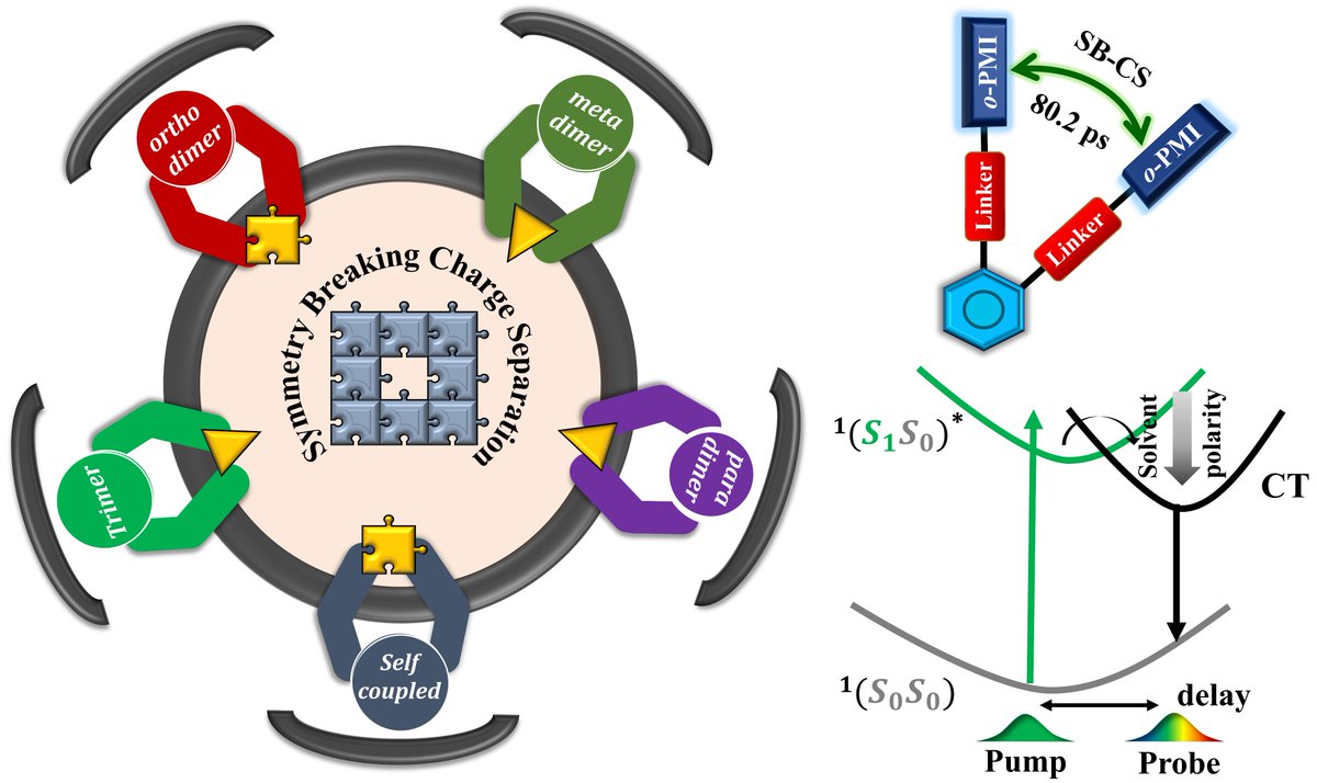 Happy to share this great teamwork with @KonerApurba & @Ayan_Nation1st groups where we explored how regioisomerism finetunes rates of symmetry-breaking charge separation in PMI-based multichromophoric systems: @sakshi_chawla_ @Ysilori @DCS_IISERMOHALI @ChemicalScience @RoySocChem