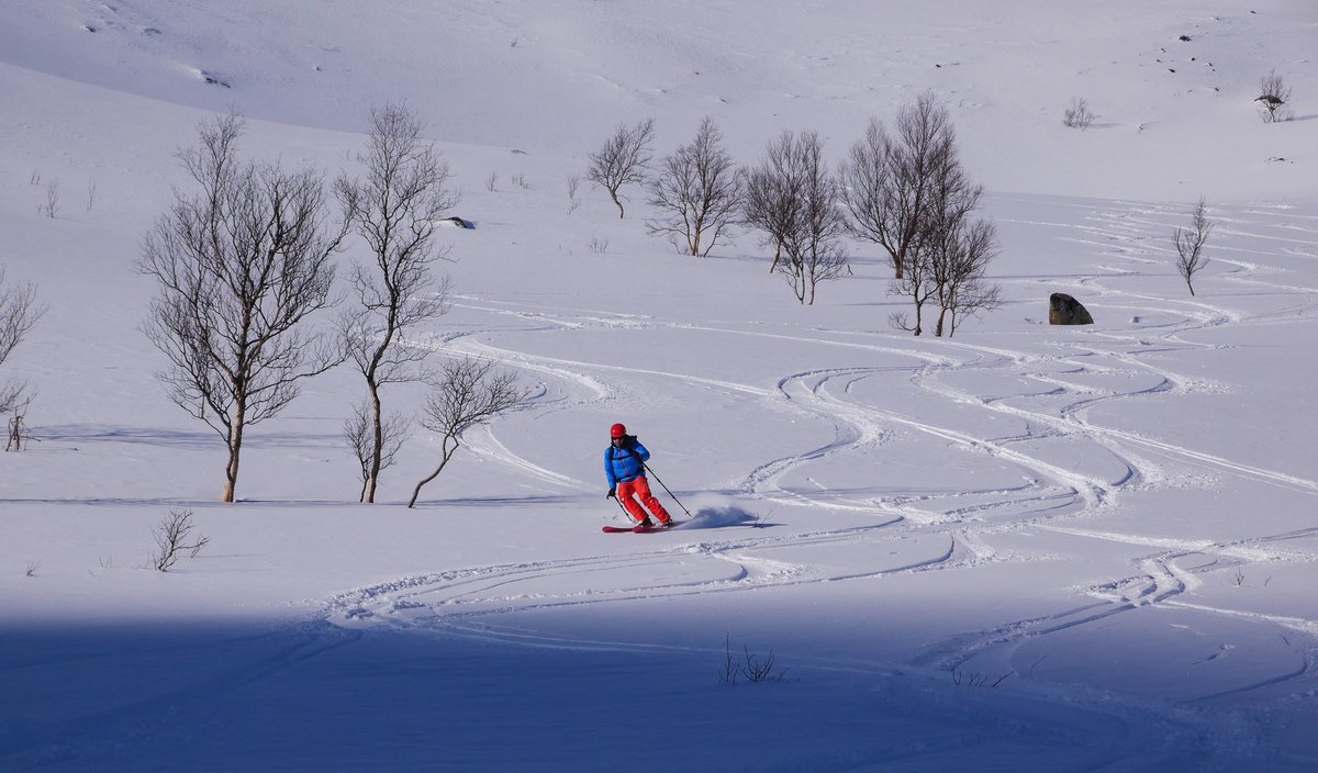 Des enjoying the powder in a sheltered bowl on Titinden. #offpisteperformance #narvik @Brit_Mt_Guides