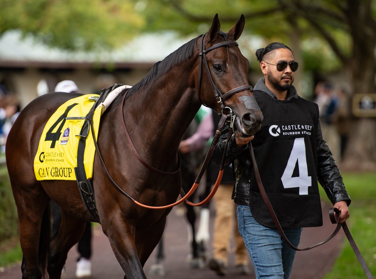 Graded stakes winner CAN GROUP hopes to replicate his success over the Keeneland surface in Friday's Grade 3 Transylvania Stakes on opening day. The Mark Casse trainee won the Grade 2 Bourbon Stakes last October. 📸 @roguewolf007