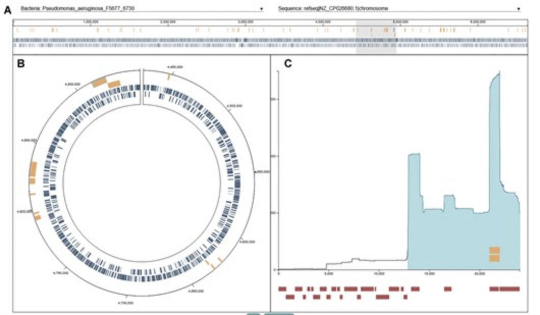 Check out our new paper in collaboration with Travis Wheeler's group out today in NAR Genomics & Bioinformatics! Editors choice! VIBES: a workflow for annotating and visualizing viral sequences integrated into bacterial genomes doi.org/10.1093/nargab…