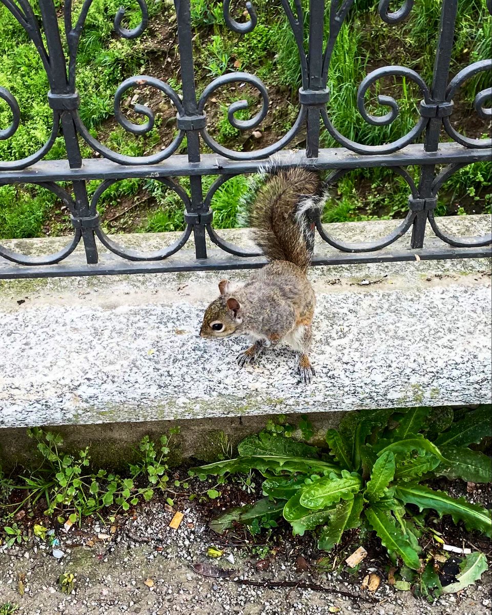 vanrell67's tweet image. 