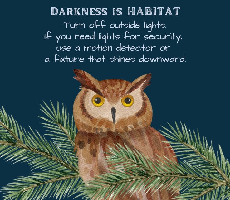 It’s International Dark Sky Week!  Please remember to turn off all unnecessary lights because darkness is habitat but also helps birds migrate safely! 

#InternationalDarkSkyWeek #LightsOut