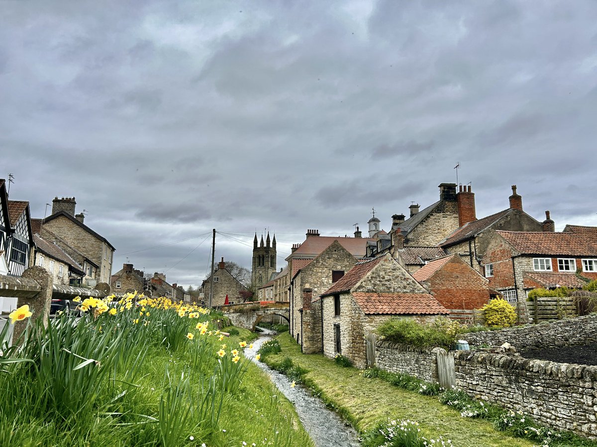 A Cloudy Afternoon in Helmsley. 8°C and rather chilly amongst the daffs.
