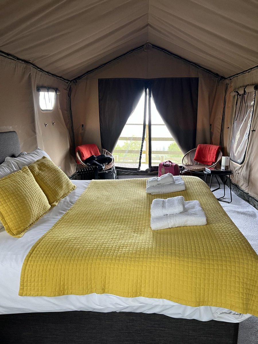 ANDY MAYO tweet media