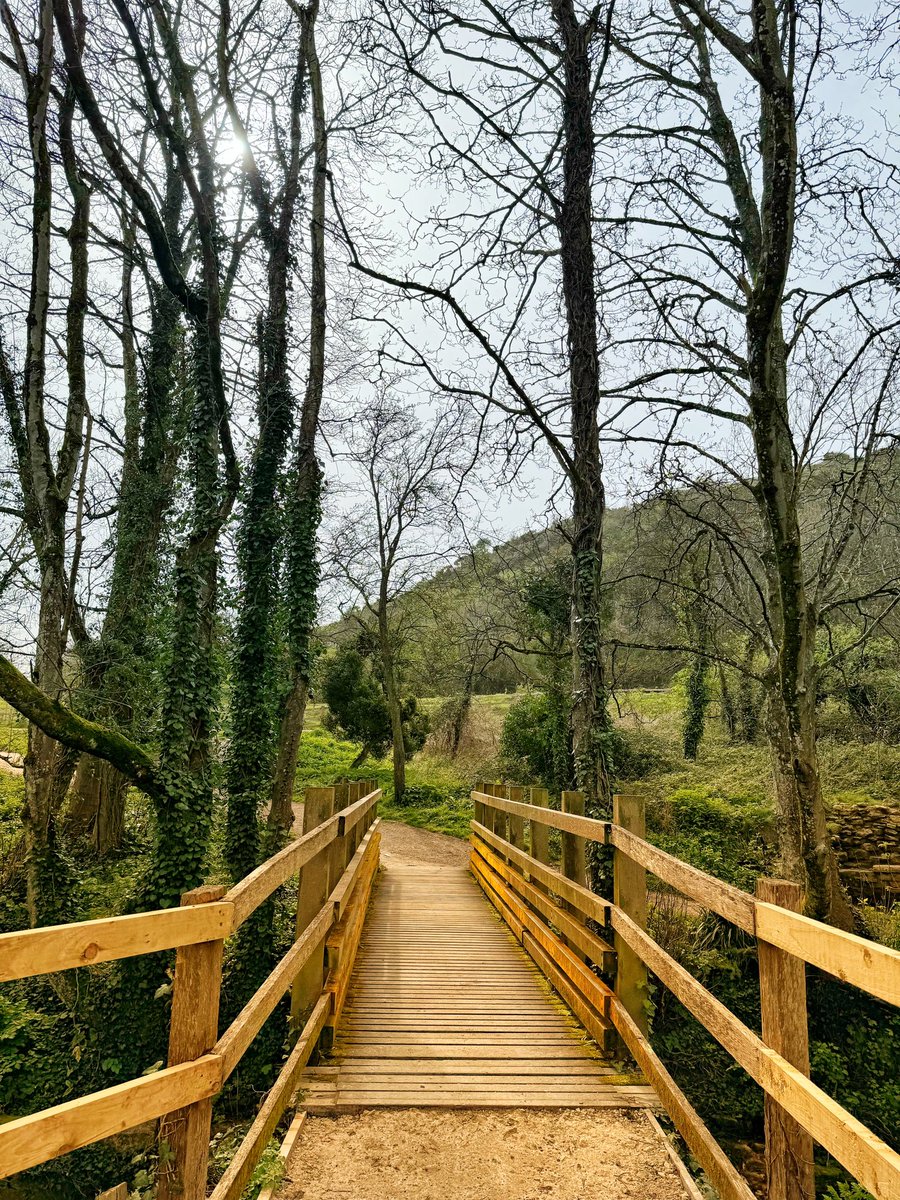 20 4/4 24 Corfe Castle & Swanage…