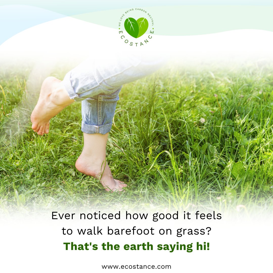 Nature is not just a backdrop for our lives; it's the very essence of our home.  

Visit us at ecostance.com
.
.
.
#climateAction #climatePower #COP28 #UniteActDeliver #ConnectWithNature #NatureIsHome #EarthConnection #BarefootWalking #TakeCareOfEarth #FeelTheEarth