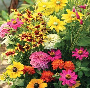Still time to order!!!!

OA Music Boosters’ spring fundraiser.  Check out the portable, reusable shopping bags in the ChicoBag catalog and the great selection of flower bulbs and seeds in the Art in Nature catalog. Both here in this link: 
shop.profit-raisers.com/index.asp?PID=…

Orders due 4/9