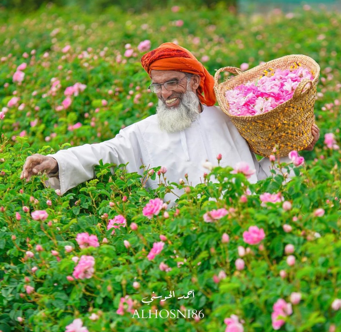 " ونَحْن نحِب الحَيَاةَ
 إذَا مَا اسْتَطَعْنَا إِلَيْهَا سَبِيلا ".