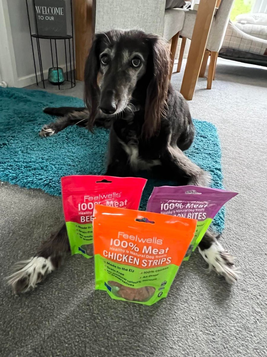 When you can’t decide which is your favourite flavour…Try them all! 😍 Which flavour does your dog love? Let us know 💚 #Feelwells #Treats #100%meattreats #Natural #Healthydog