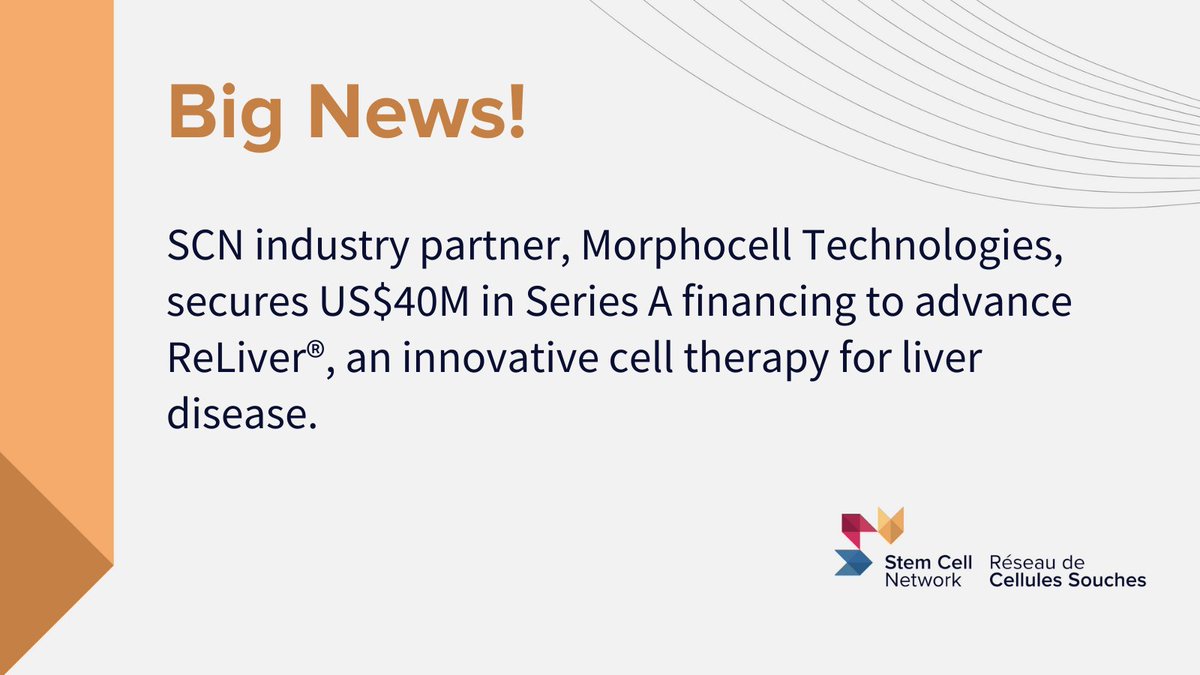 Stem Cell Network (@stemcellnetwork) on Twitter photo Exciting news! 🙌 <a href="/MorphocellTech/">Morphocell Technologies</a> announced US$40M in Series A financing to advance its first therapeutic product, ReLiver®, a novel cell therapy platform that promises to transform the treatment of liver disease.
Read more. ➡️ stemcellnetwork.ca/scn-industry-p… Exciting news! 🙌 <a href="/MorphocellTech/">Morphocell Technologies</a> announced US$40M in Series A financing to advance its first therapeutic product, ReLiver®, a novel cell therapy platform that promises to transform the treatment of liver disease.
Read more. ➡️ stemcellnetwork.ca/scn-industry-p…