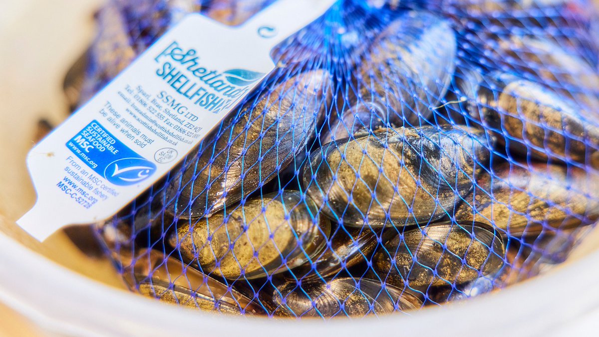 The @mcsuk have just updated the @GoodFishGuideUK with their latest research on sustainable seafood species. 🐟 Did you know there are 11 updated green ‘Good Choice’ or ‘Best Choice’ species ratings that are MSC certified? 💙 Read more. ➡️ bit.ly/2RvipsO #GoodFishGuide