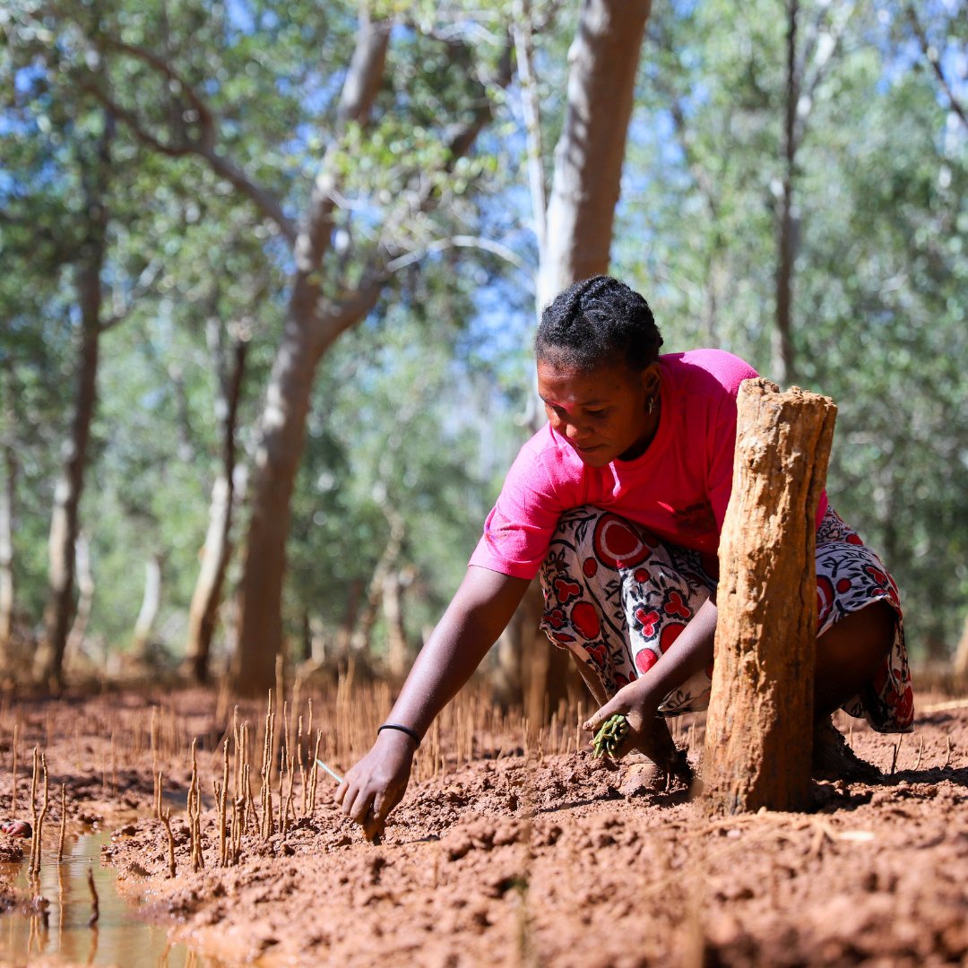 Celebrate this Earth Month by making a profound impact for people and the planet. Your support can ignite the change needed to secure a thriving, sustainable future for all. Together, we can make a difference: ecs.page.link/xpNCE