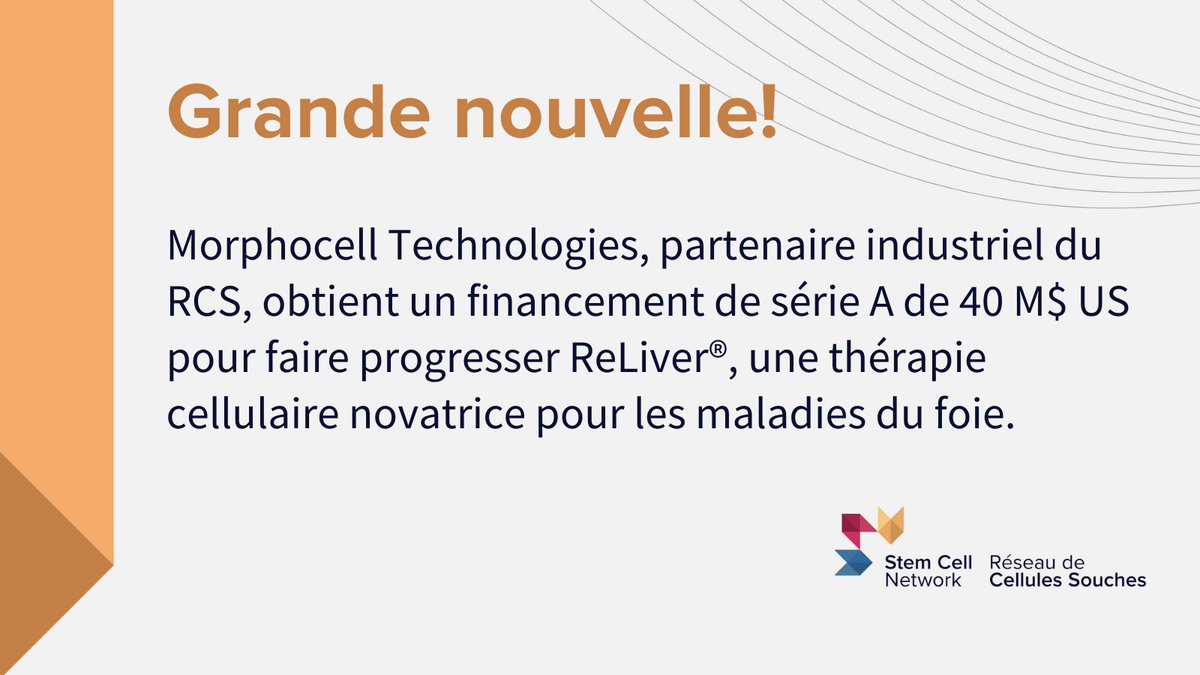 Stem Cell Network (@stemcellnetwork) on Twitter photo Grande nouvelle! 🙌 <a href="/morphocelltech/">Morphocell Technologies</a> a annoncé avoir obtenu un financement de série A de 40 millions de dollars américains pour faire progresser son premier produit thérapeutique, ReLiver®, Grande nouvelle! 🙌 <a href="/morphocelltech/">Morphocell Technologies</a> a annoncé avoir obtenu un financement de série A de 40 millions de dollars américains pour faire progresser son premier produit thérapeutique, ReLiver®,