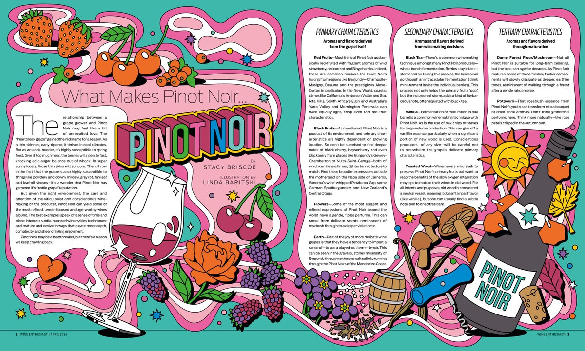 Creating a visual representation of Pinot Noir's profile, @seasonofvictory illustrates for @WineEnthusiast Magazine. See more: ow.ly/zNJB50R7bv0 #WEAREILLUSTRATIONX #fruits #flowers #wine #editorial #objects #magazine #graphic #ingredients #foodanddrink