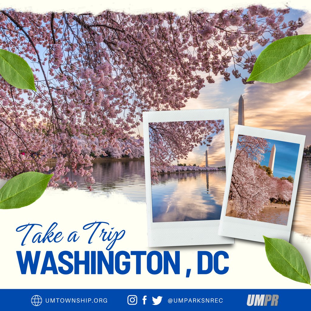 UMParksnRec's tweet image. Don't miss out! There are still seats available for our 2024 On Your Own Washington D.C Trip! 

To register visit register.capturepoint.com/reg/cat_progra… 

#WashingtonDC #CherryBlossom #TravelAdventure #uppermerion