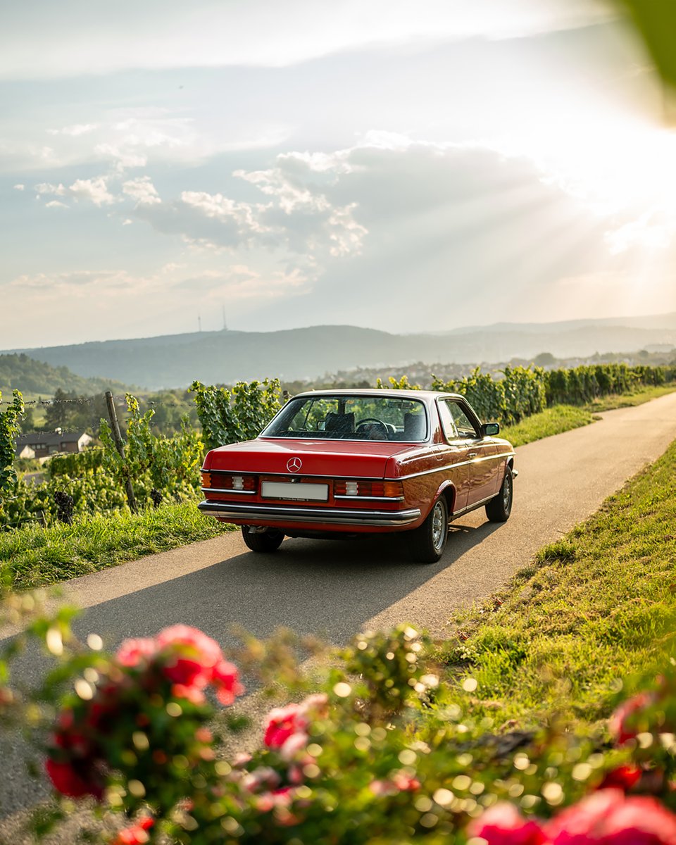 MercedesBenzUSA's tweet photo. Green grass, blue skies and a red Mercedes coupe.
1977 C 230 in Signal Red.
📸 IG: nikofrielitz
#MercedesBenz #C230 https://t.co/EVNzhVqS3W