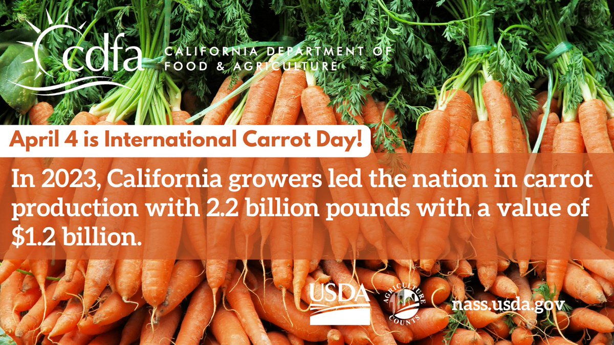 Happy National Carrot Day! 🥕 Did you know? In 2023, California growers produced 2.2 billion pounds of carrots valued at $1.2 billion. Grab a carrot and toast to the Golden State for leading the charge in crunchy carrot goodness! #NationalCarrotDay #CaliforniaGrown🥕