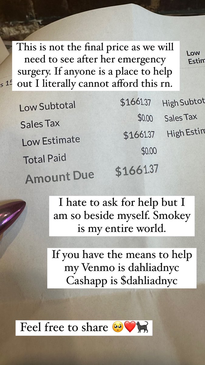Hate to come on here and ask for help but my baby Smokey had to be rushed to the vet for an emergency surgery this morning for a pyometra. I’m completely beside myself. If anyone has the funds to help my Cashapp/Venmo are both under dahliadnyc And shares appreciated 😞🐈‍⬛❤️‍🩹