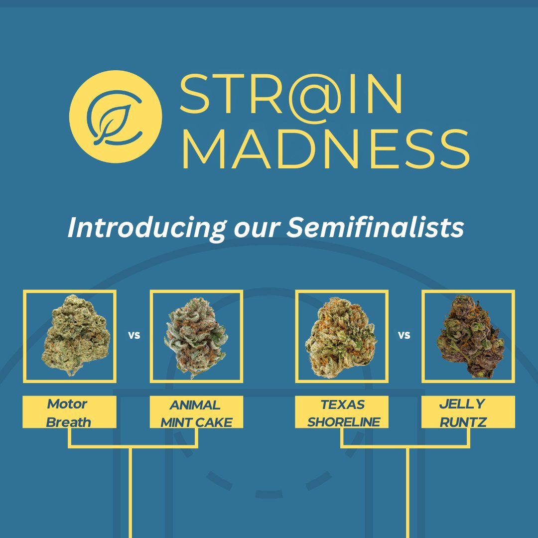 We're down to the wire in Str@in Madness‼️ Our Stra*n of the Month semifinalists have emerged, but the battle is far from over. Visit our Story now to cast your votes and help decide which strains will smoke the competition!! 🌿🏆