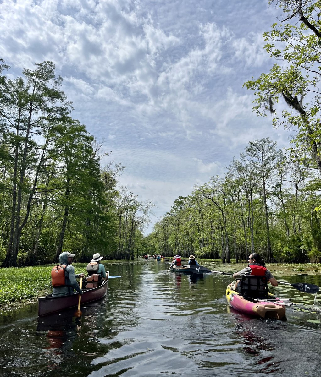 LandTrustforLA's tweet photo. MARK YOUR CALENDARS for our annual Spring Paddle Trip in the Maurepas Swamp Preserve: Sun, May 19, 10am! This sells out every year, so we will let you know ASAP when ticket sales are GO. Looking forward to enjoying the beauty of the swamp &amp; learning about local birds with you! https://t.co/JTpHUtvdEp