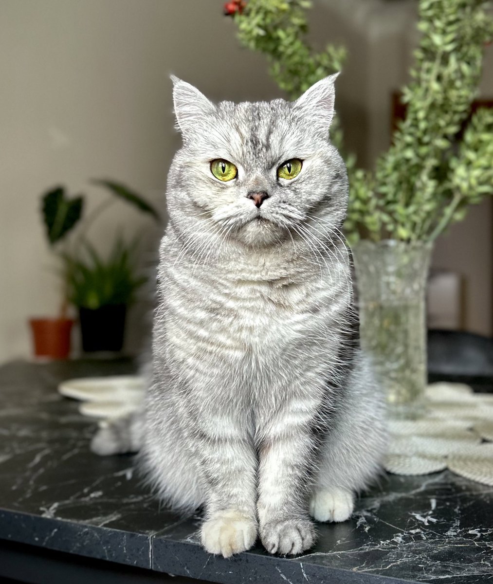 Neydik / ne olduk