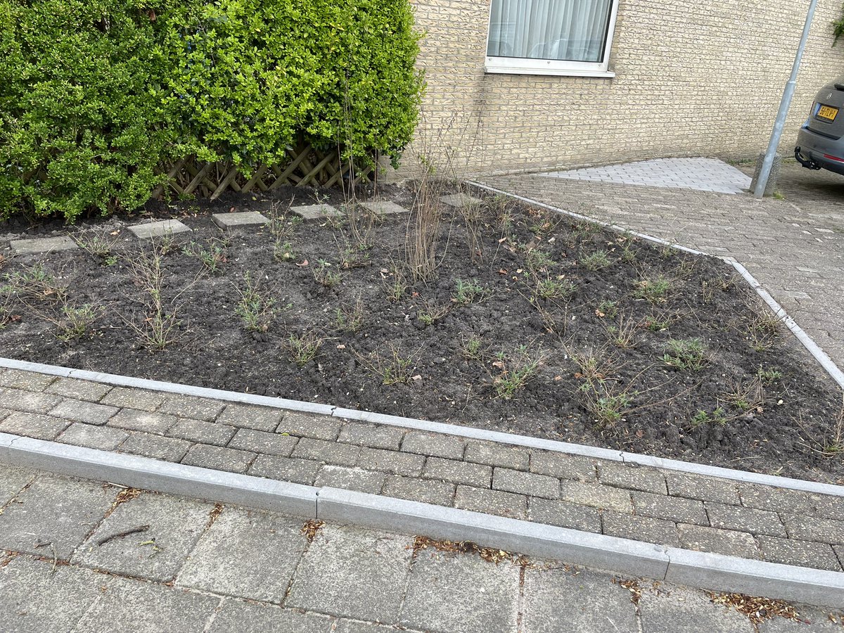 Coby Franken (inactief) (@cobyfranken) on Twitter photo En ook rond de Aldi in het Staatsliedenkwartier overal nieuwe stukjes groen. Tegels eruit, plantjes erin. #Steenbreek #GroeneWijk <a href="/gemeentewoerden/">gemeente Woerden</a> En ook rond de Aldi in het Staatsliedenkwartier overal nieuwe stukjes groen. Tegels eruit, plantjes erin. #Steenbreek #GroeneWijk <a href="/gemeentewoerden/">gemeente Woerden</a>