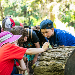 🌷Teachers, looking for ways to engage your K-7 students in nature? Join us on April 22 for a pro-d workshop to learn a variety of outdoor games with ties to ecology, cooperation, and First People’s Principles of Learning! Register: bit.ly/2024-teacherpr…