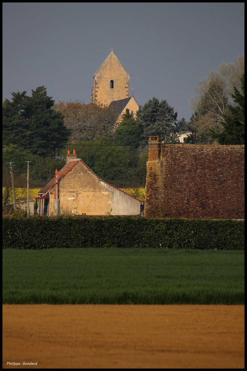 Sarthe V'la le printemps ! #Teillé #Sarthe #laSarthe #sarthetourisme #labellesarthe #labelsarthe #Maine #paysdelaloire #paysage #nature #campagne #rural #ruralité #gondard #route #road #OnTheRoadAgain #graphique