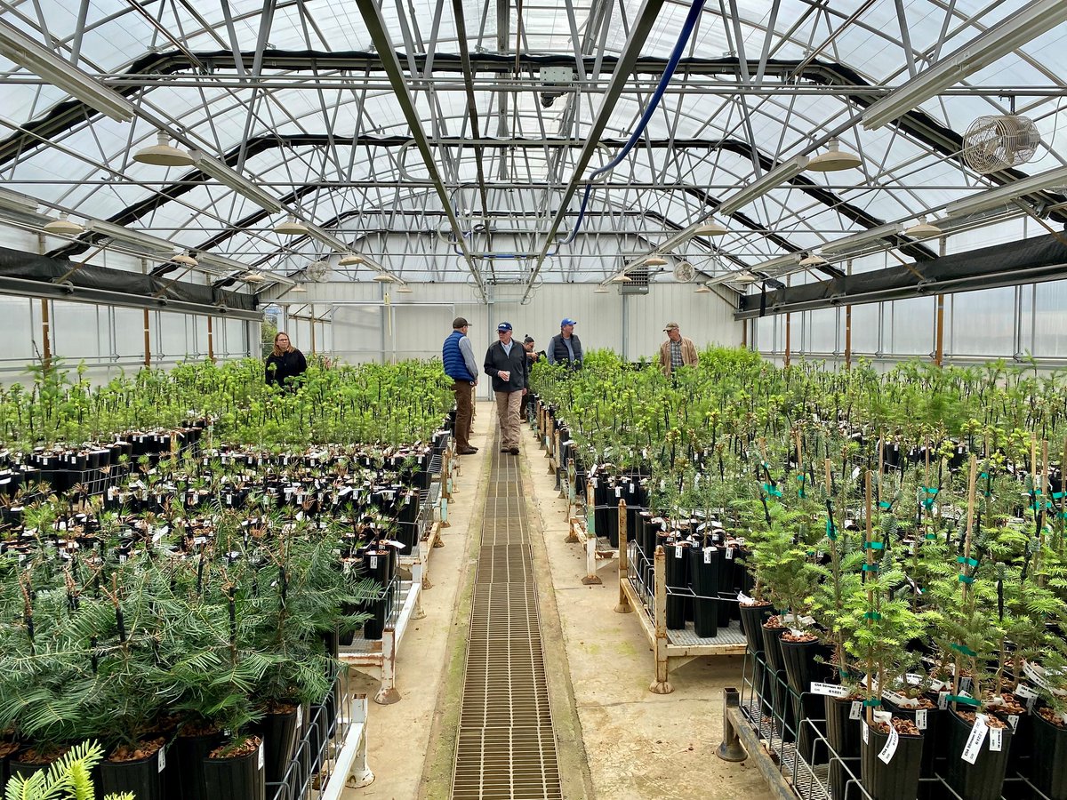 Do you like long walks in the woods? Do you love spending time in a greenhouse? Will you help us reforest Oregon? We're looking for a volunteer site host at our Horning Seed Orchard! To learn more, email Lisa (ebond@blm.gov) or Jay (jtorland@blm.gov).