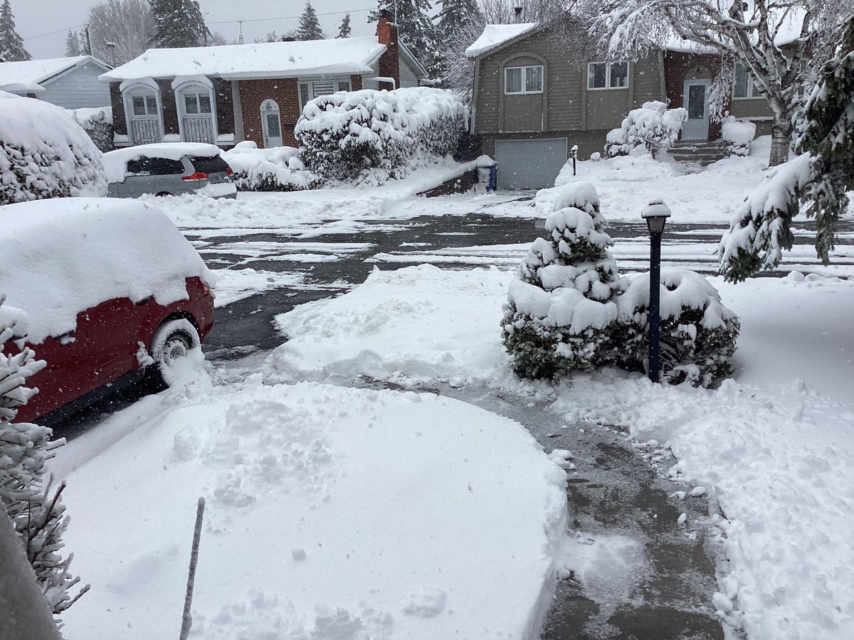 rex88ter's tweet image. Monday doing spring yard work with a little buddy, Thursday this. No need for the gym this morning. Cardio shovelling day it is. #aprilchallenge and a good stretch @321gaux