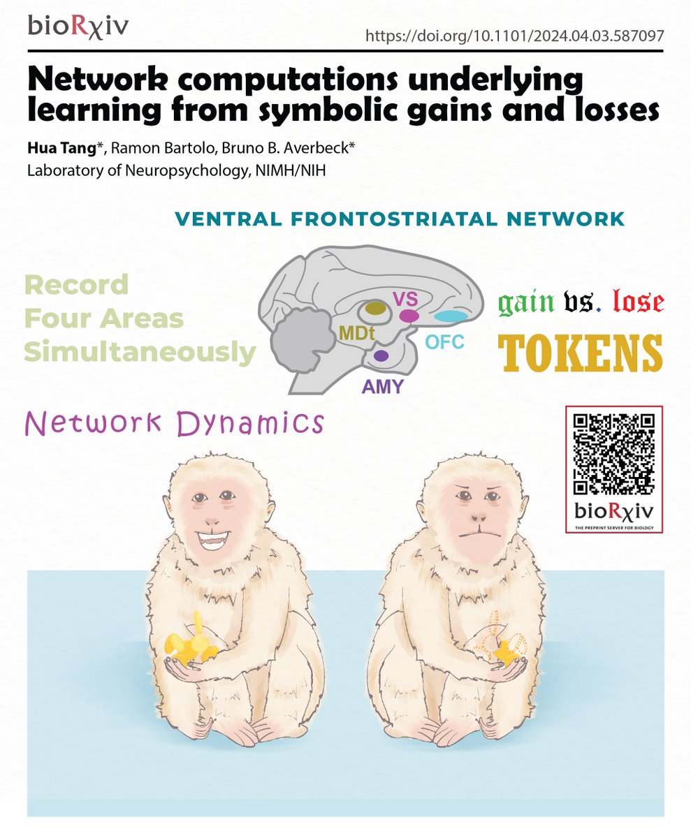 New preprint with <a href="/rbartolo_phd/">Ramon Bartolo @rbartolo.bsky.social</a> and <a href="/BrunoAverbeck/">Bruno Averbeck</a>.🐵😀
Network computations underlying learning from symbolic gains and losses  biorxiv.org/cgi/content/sh…… <a href="/biorxiv_neursci/">bioRxiv Neuroscience</a>