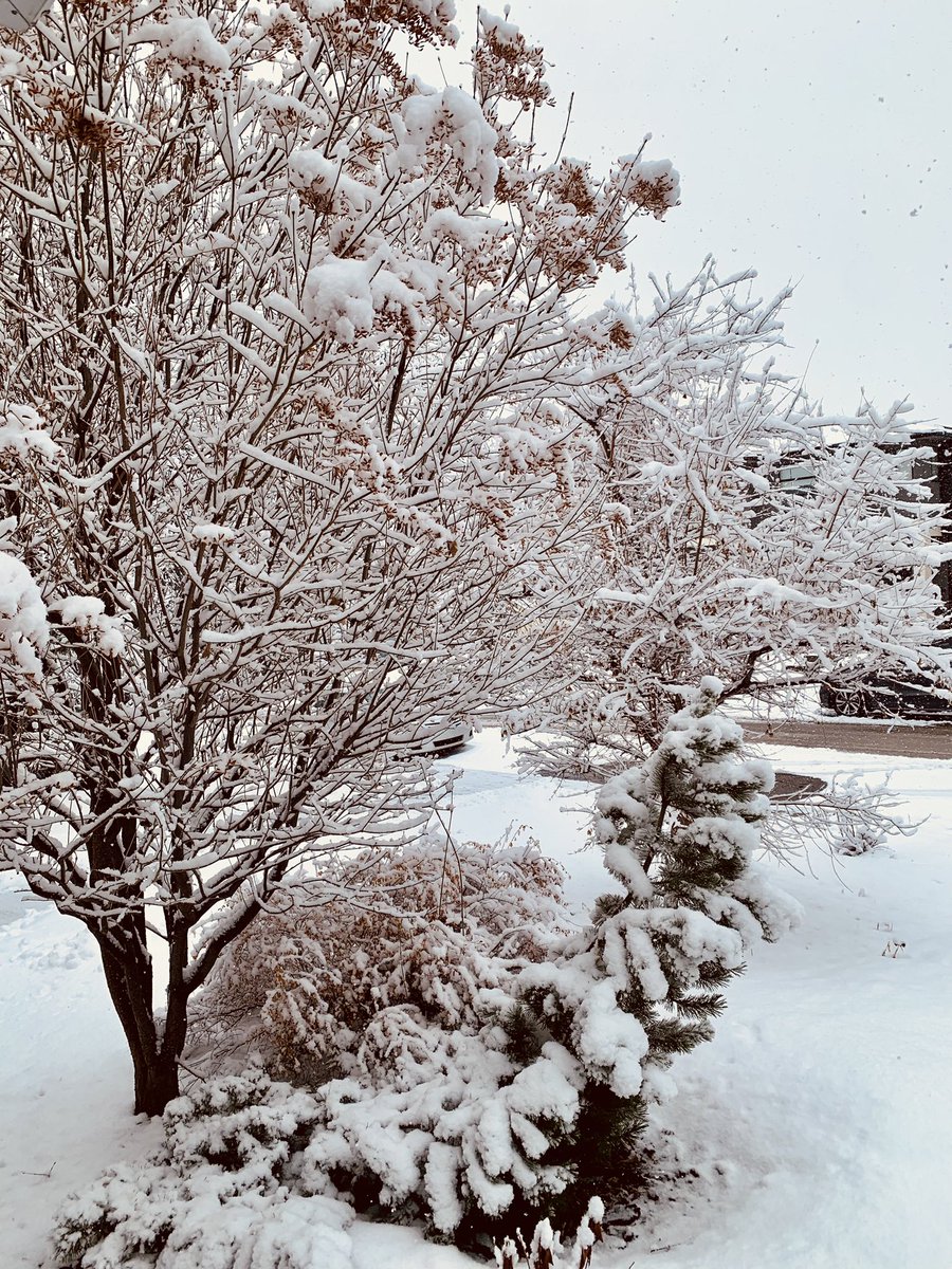 Prairie Political Science Association tweet media