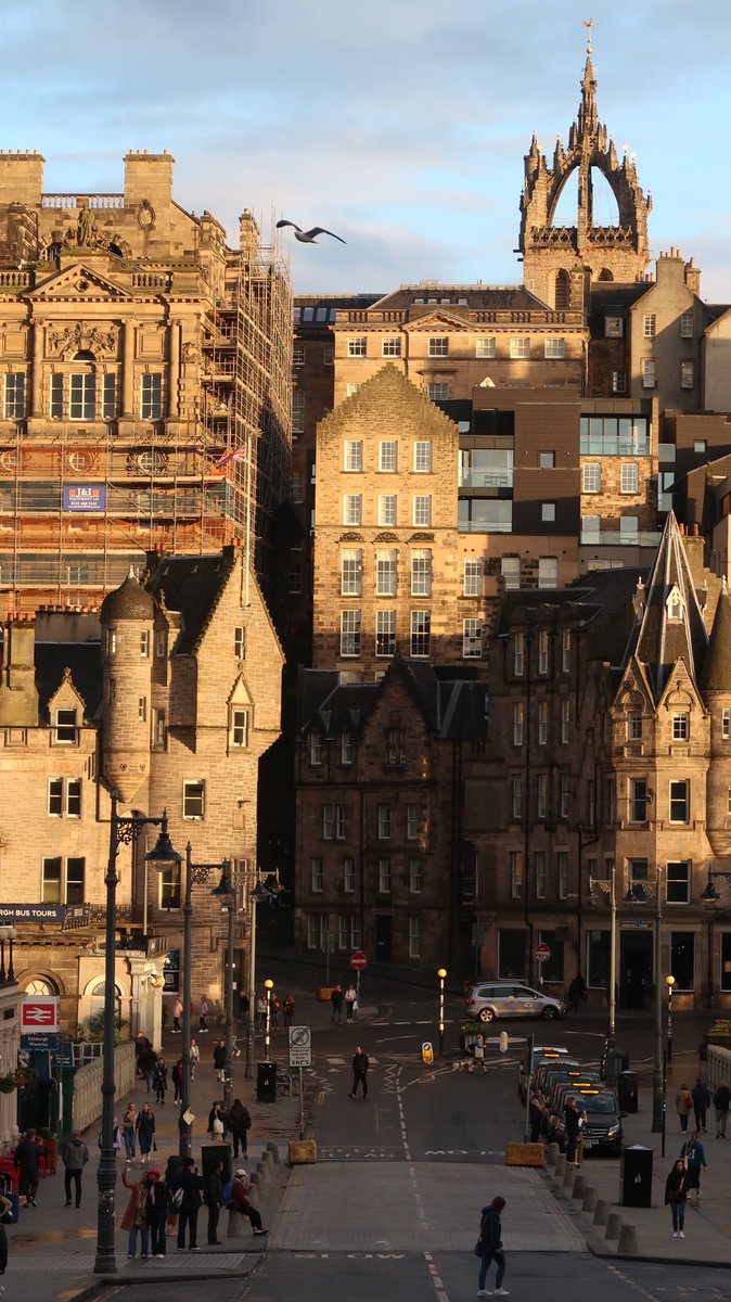 youxppp's tweet image. วาสนาที่ได้ไปเห็นกับตา มันสวยแบบไม่รู้จะพูดยังไง ให้ไปนั่งเฉยๆ ดูวิวก็จะไป นอนกลิ้งเล่นตรงปาร์คก็ฟินละ ดูวิวดิ เกินมาก เหมือนเมืองในฝัน แต่มีอยู่จริง ใครคิดที่อยากไปเที่ยว ลองสักครั้งเอดินมันสวยมากๆ มากจริงๆคับ