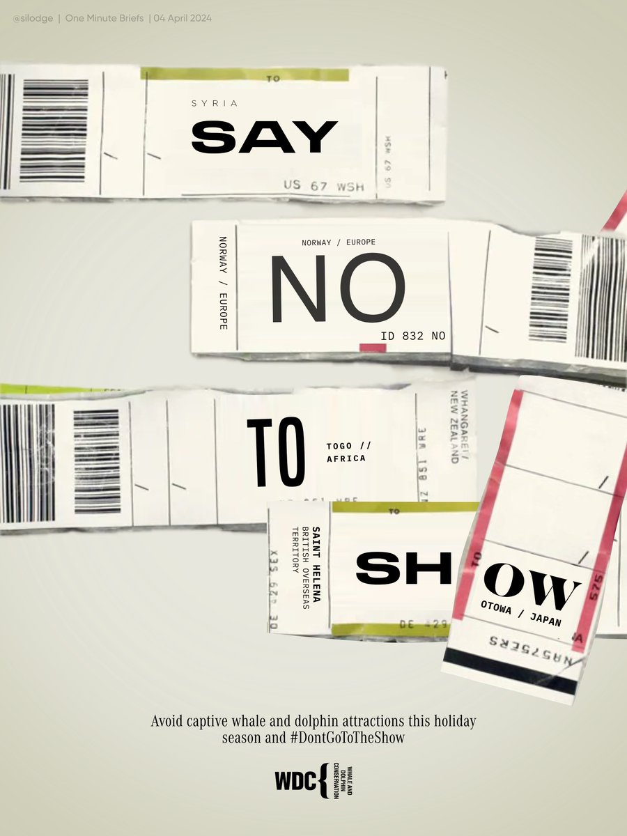 Say no to show 🎫 Create posters for UK airport departure lounges that convince UK holidaymakers not to visit captive whale and dolphin attractions while they are abroad. #DontGoToTheShow. @whalesorg #EndCaptivityForever @OneMinuteBriefs