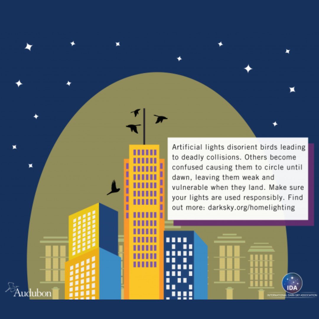 Audubon Texas tweet media