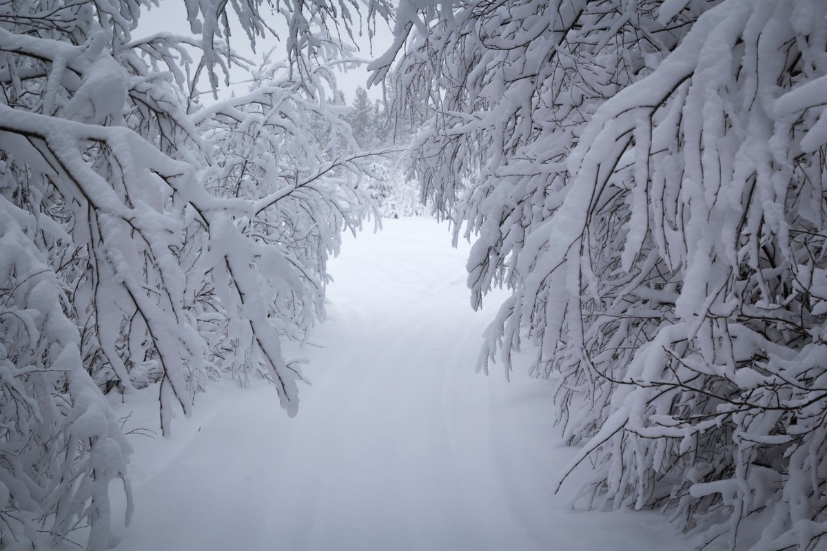 ⚠ Our branches will close at 3 PM today due to severe winter weather. ATMs will be available in areas with power and Digital Banking Services remain online. Thank you for understanding. Stay safe! 🌨️❄️