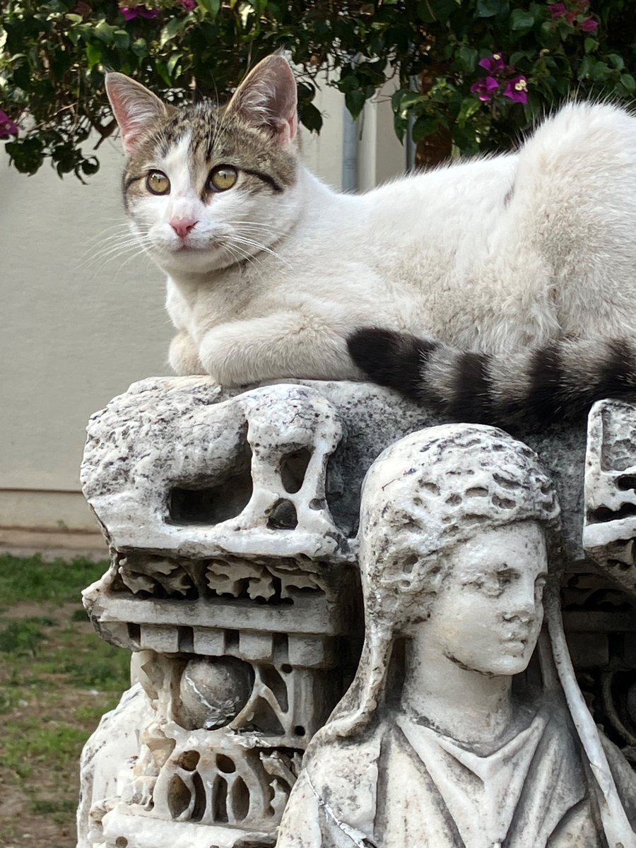 Der letzte Tag unserer Konferenz in #Antalya u.a. mit Vortrag von <a href="/orpheus302015/">Ulrike Peter</a> <a href="/bbaw_de/">BBAW</a> zum ruhenden Herakles <a href="/Corpus_Nummorum/">Corpus Nummorum</a>,  einem Schlusswort von Andrew Burnett, einer Ausstellung von AKMED und einem Spaziergang durch Stadt. #Numismatik