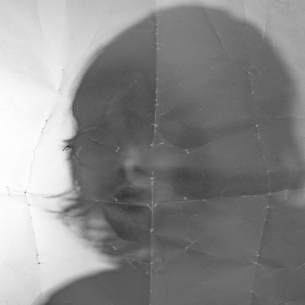 Photos for <a href="/okayshrimp/">shrimp</a>